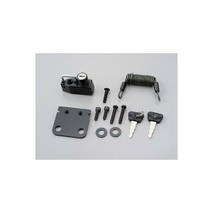 Daytona (fCgi) wbgz_[~[ GSX1300/BAN1250