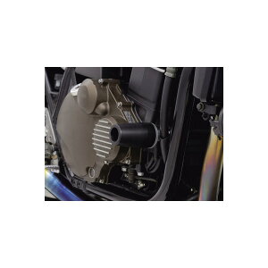 Daytona (fCgi) GWveN^[ ZRX1200 ZRX1100(ALL)