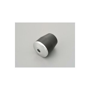 Daytona (fCgi) GWveN^[p Cpbh60MM M10