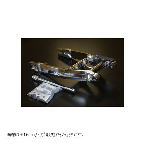 Daytona (fCgi) EGCg[[ 20X12L 5GX3