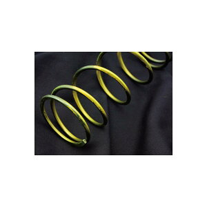 Daytona (fCgi) X[p[Nb`Z^[XvO 3%UP PCX14