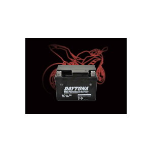 Daytona (�f�C�g�i) �n�C�p�t�H�[�}���X�o�b�e���[ DYT4L-BS