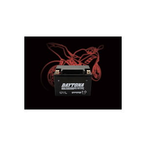 Daytona (�f�C�g�i) �n�C�p�t�H�[�}���X�o�b�e���[ DYTZ12S