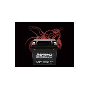 Daytona (fCgi) nCptH[}Xobe[ DYTX14-BS
