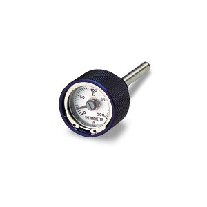 Daytona (fCgi) v L[ S