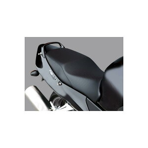 Daytona (fCgi) RIPMOV[gE^ CBR1100XX