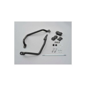 Daytona (fCgi) pCvGWK[h MT-09