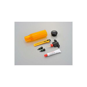 Daytona (fCgi) pNCLbg