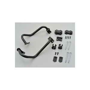 Daytona (fCgi) pCvGWK[h CB1100EX