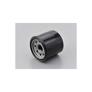 Daytona (fCgi) vCXICtB^[ CB1300SF-02