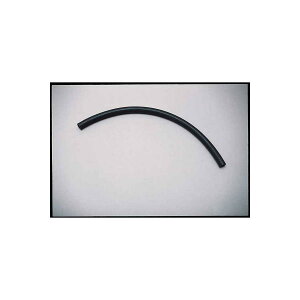 Daytona (fCgi) U[o[^Nz[X