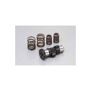 Daytona (fCgi) nCJVtg APE50 GCv50