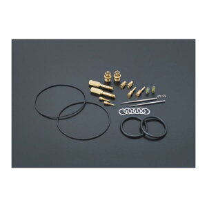 Daytona (fCgi) X-803RS ttFCX wbg SIVLER 44 L