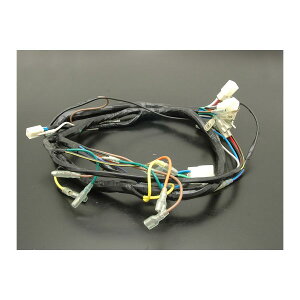 Daytona (fCgi) ~[nEWOpJ/N[