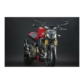 トリックスター ラジエターコアガード ブラックメッキ DUCATI Monster1200/821 VHG-D02-BM