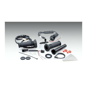 KIJIMA (LW}) Obvq[^[Lbg GH07 ZX-25R 304-81982