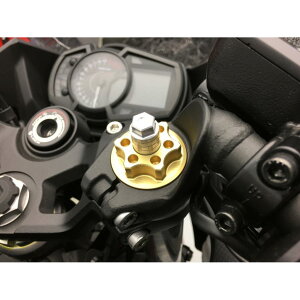 PCt@Ng[ tgtH[NgbvLbv jW250 Ninja250 SS[h 184XZDR0244