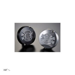 �P�C�t�@�N�g���[ �p���V���O�J�o�[R TYPE2 �[�t�@�[ ZEPHYR1100 �V���o�[ 111IZBL007H