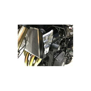 �P�C�t�@�N�g���[ ���W�G�^�[�T�C�h�J�o�[�^�C�v2 POL Z900RS CAFE 179IZFE003L