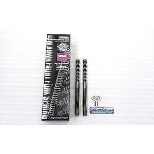 ECYEB [_EtgtH[NXvO Dio110 EBJ-JF31 645-03-01