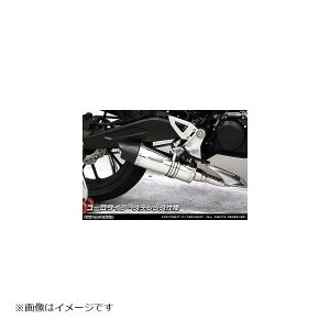 ウイルズウィン ダイナミックマフラー/ユーロ ステンレス CB125R 2BJ-JC79