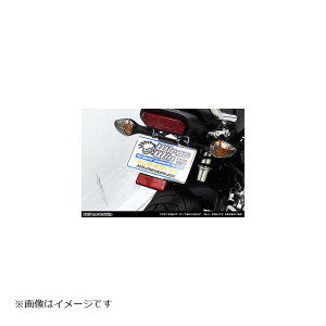 �E�C���Y�E�B�� �t�F���_�[���X�L�b�g GROM(JC92)3�^ 2021/3-
