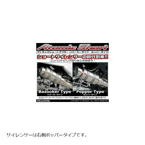 ECYEB Ag~bNV[g}t[/|bp[ MAJESTY250(5GM/SJ) 112-12-03