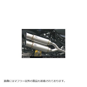 ECYEB Ag~bNcC}t[/|bp[ MAJESTY250(4D9) 172-13-03