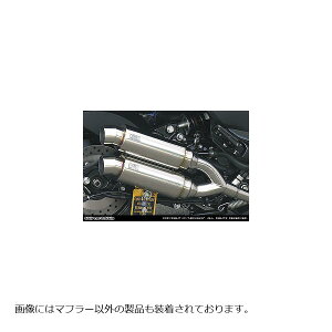 ECYEB Ag~bNcC}t[/X|[c MAJESTY250(4D9) 172-13-05