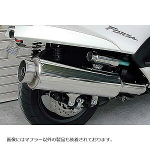 ECYEB rbOoY[J[}t[ FORZA(MF08) 222-01-01