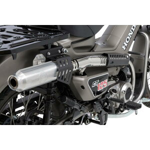 MORIWAKI (L) MONSTER SUS CT125 01810-D21X4-00