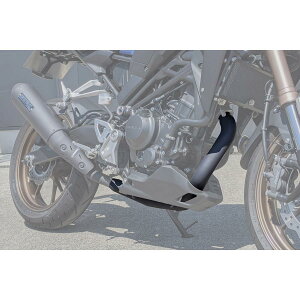 MORIWAKI (L) B.R.S tgpCv }t[ SUS CB250R 01811-201Q6-00