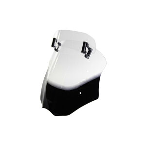 �G���A�[���G�[ �X�N���[�� ���@���I�c�[�����O �N���A S1000XR 15-19 4025066154265
