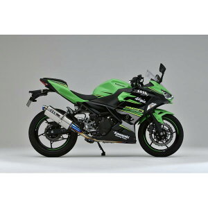 OVER RACING(I[o[[VO) }t[ TT-Formula t`^2-1 NINJA250 jW250 25-693-01 I[@[[VO