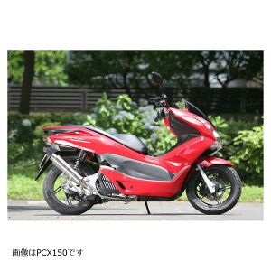 SPj (SP^_I) PURE SPORT S S[hGu Xe PCX150APCX125(EBJ-JF56) PC1-GE-13