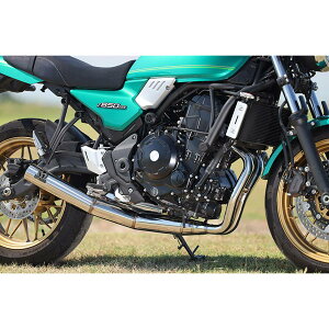 SP���j (SP�^�_�I) POWER BOX FULL2in1 �X�e��POL Z650RS 8BL-ER650M Z6R-PB-02