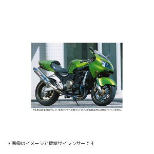STRIKER(ストライカー) レーシングコンセプト チタン/ヒート ZX-12R
