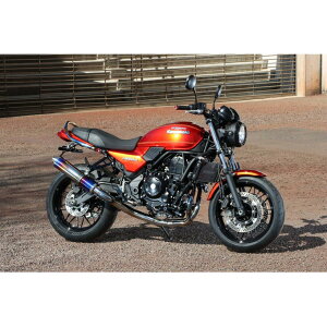 STRIKER (XgCJ[) Xg[gRZvg tGL][Xg q[gJ[ Z650RS 8BL-ER650M 916412WJT-H