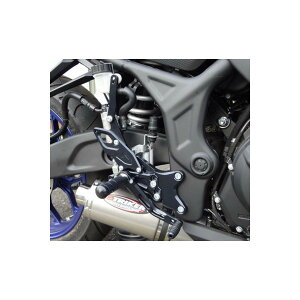 STRIKER(XgCJ[) XyVXebvLbg Type S&R ubN YZF-R25(15-/(ABS)) SS-AA2123B