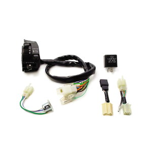 SP (SP^PK) Rrl[VXCb`ASSY P/Ct GCv50 GCv100 APE50 APE100