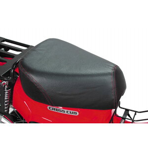 SP(SP^PK) NbVV[gJo[(bhXeb`) NXJu50(AA06)