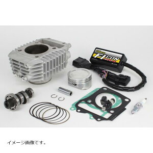 SP(SP^PK) H.S-Stage {AAbvLbg 181cc X[p[Ju125 C125(JA48-1000001-)