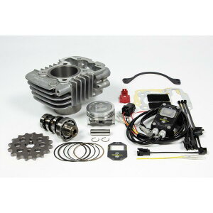 SP(SP^PK) H.S-Stage{AAbvLbg 81cc X[p[Ju50(AA09)