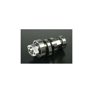 SP (SP^PK) CAM SHAFT S25D fRv PCX {K̔Ԑp