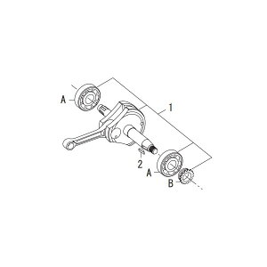 SP(SP^PK) Xg[NAbvNNVtgLbg (50mm) Monkey L[ (FI) L[ FI