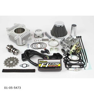 SP (SP^PK) H.S-Stage {AAbvLbg88cc FIJu50(AA01-17)/FIgJu(AA01-40) 01-05-5473