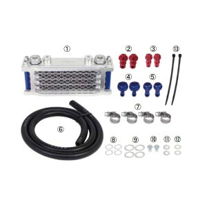 SP���� (SP�^�P�K��) �R���p�N�g�N�[���L�b�g (3FIN/���o�[�z�[�X)Z125PRO(BR125H-A02621-) 07-07-0242