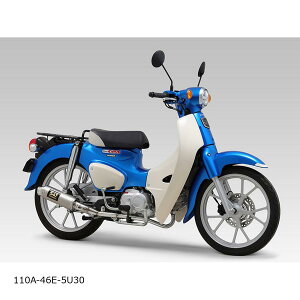 YOSHIMURA (V) @BGP-MAGNUMTCN SSF TYPE-DOWN X[p[Ju110 110A-46E-5U30