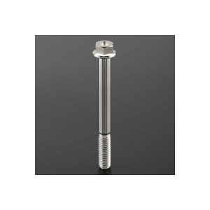 ZETA Z-`^ tW{g M6 P1.0 1pc 60mm