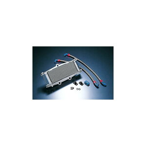 ACTIVE (ANeBu) ICN[[KIT Xg[g #6 9-13R ZEPHYR400//ZEPHYR750/ZR-7 AC14057913